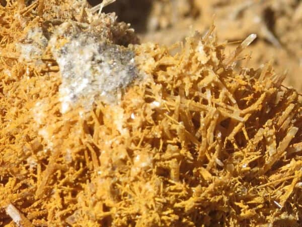Gypsum found in Sierra County New Mexico near Copper Flats Mine