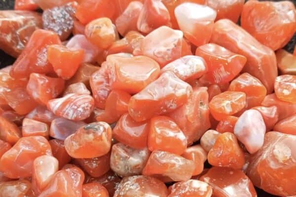 polished carnelian found in Sierra County New Mexico