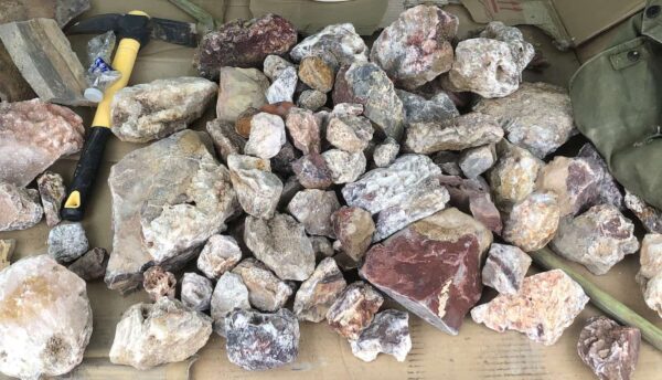trunk full of rocks found in Sierra County New Mexico