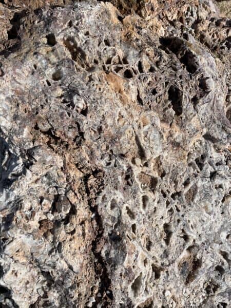 close up of large bladed barite in boulder