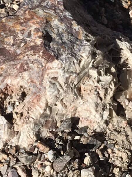 closeup of barite blades