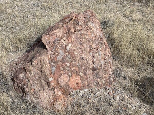 large conglomerate boulder with multiple colors