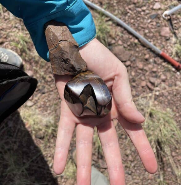 polished and rough goethite in a rockhound's hand