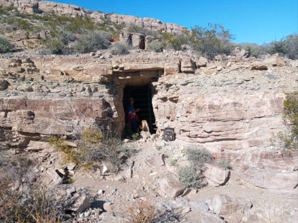 rockhound in shady cave