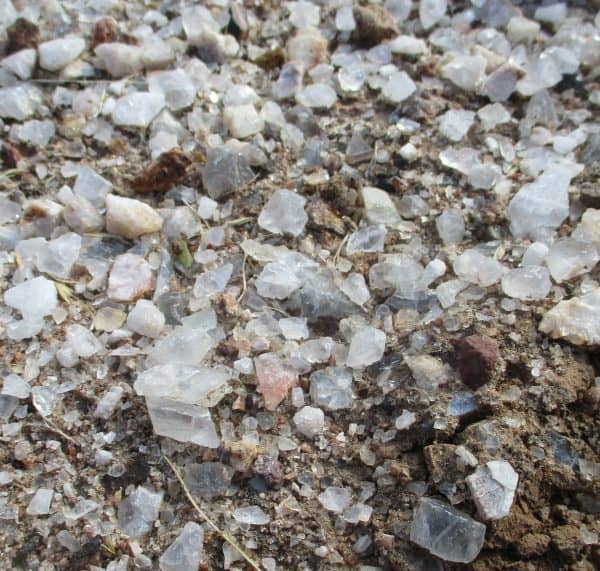 small translucent calcite crystals on the ground in Sierra County