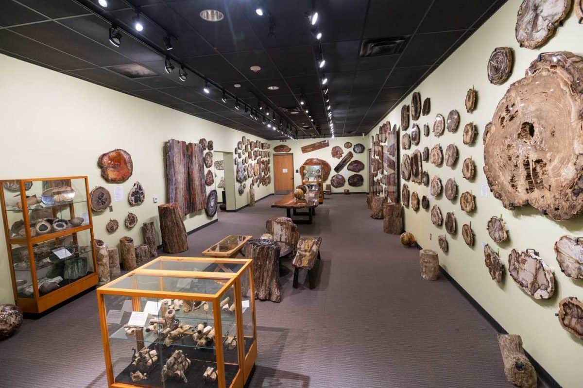 Zuhl Museum at NMSU in Las Cruces New Mexico.